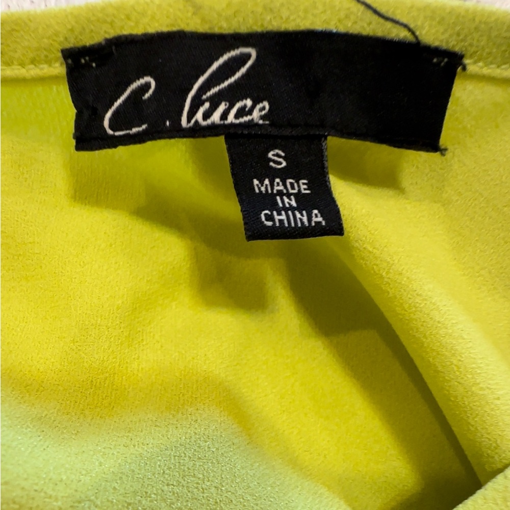 C. Luce tassel front dress - Picture 8 of 9